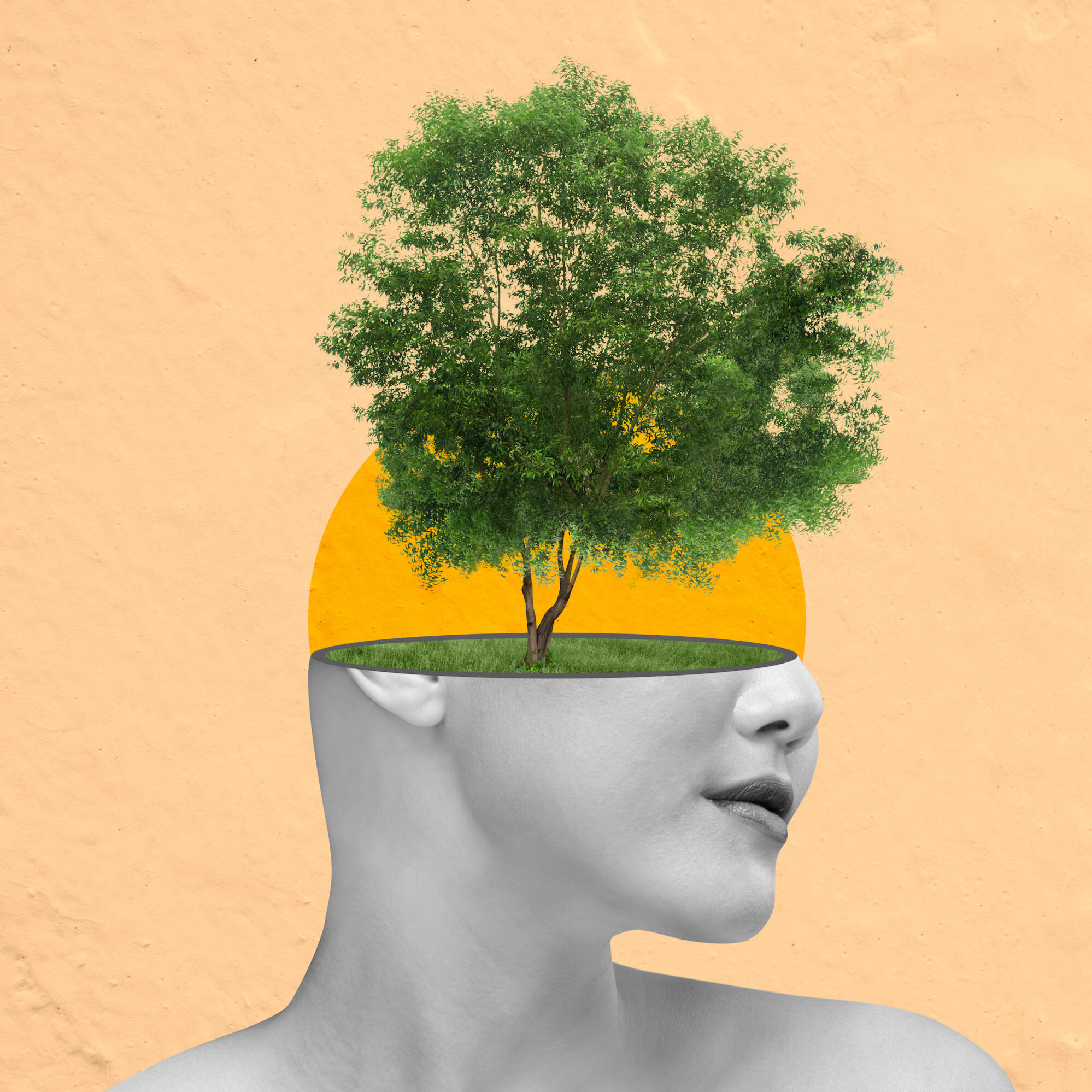 Woman's head with a tree growing on top